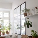 식물 인테리어 이미지