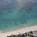 피자캐리어 이미지