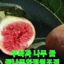 신천리슈퍼 이미지