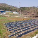 이성자농장 이미지