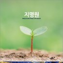 한영약품 이미지