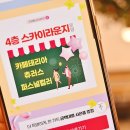 원크린본점 이미지