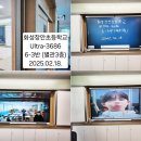 화성장안초등학교 티스토리