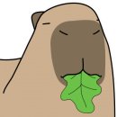 뽑기사관학교 이미지