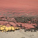 농소초교 이미지