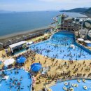 용소폭포 해바라기 네이버블로그