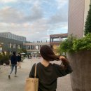 (주)마인소프트 | 시에 sie 마레 브이넥 니트 내돈내산 후기 착용샷