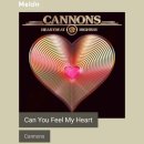 Cannons - Can You Feel My Heart [분위기있는음악 / 이별 송] 이미지