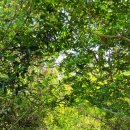 신평마을회관 이미지