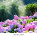 비커밍펜션2 이미지