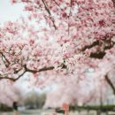 청강수천 이미지