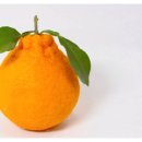 진도힐링하우스 이미지