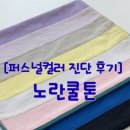 퍼스널잉크 | [퍼스널컬러 진단 후기]피부는 노란데 쿨톤? 노란쿨톤 완전정리