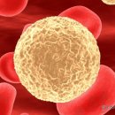 발효명가서초한의원 이미지