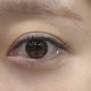 우아유