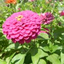 평촌회관 이미지