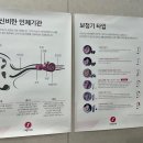 보청기마트 이미지