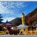 속리산 - 성남시 중원구 시민로117번길 2 | 속리산