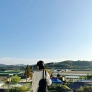 골보이세종