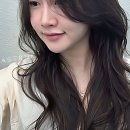 댕댕이묭실 | 묭실 유목민 탈출! 드디어 인생 머리 찾았어요