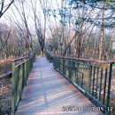 영축산순환산책로(유아숲) Daum카페