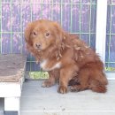 포항명도학교 이미지