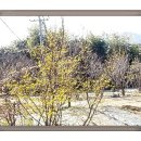 대룡마을회관 이미지