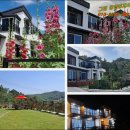 완도읍-8 이미지