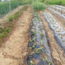 까치철물 이미지