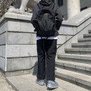 아크테릭스도 | 아크테릭스 남자 백팩 후기 맨티스 26 등산 가방 추천 브랜드 고프코어 무드에 좋아
