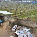 추대농장 이미지