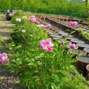 김철환 농장 이미지