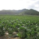 송정리 경로당 이미지