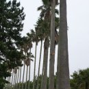 한림교통(주) 이미지