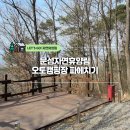 문성자연휴양림 이미지