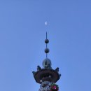 달님 - 여수시 | 달님