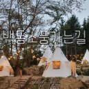 (주)백동소풍가는길
