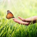 마음편한심리상담센터 이미지