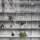 뚝도약국 이미지