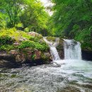 서산갯마을산악회, 제101차 정기산행(가평 조무락골 계곡) 이미지