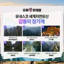 엔티