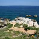 언덕위에 풍차 이미지