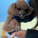 루이야 놀고 자고 GO 이미지