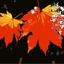 백야 주식회사 이미지