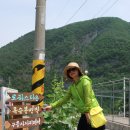 옥순봉민박 이미지