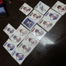 중랑조은세상 | 25년 3월, 그들의 푸름을 먹고 나무가 되었다