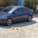 제주머무리 이미지