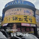 일품돼지국밥 경산점 | 경산 24시 식당 일품돼지국밥 내돈내산 중방동 맛집