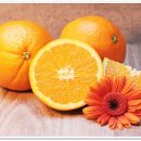 오렌지세탁소 이미지