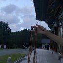 신광사 | 경남템플스테이추천지 / 거제 사찰 추천 / 신광사 템플스테이 / 체험형 템플스테이